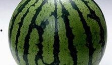 今日吃瓜的图片素材,揭秘娱乐圈最新热点事件